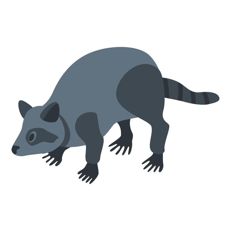 Raccoon pet icon, isometric style vector