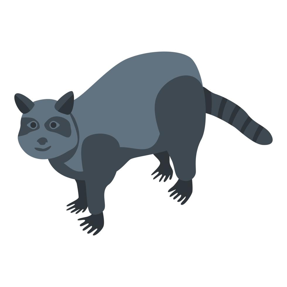 icono de mapache salvaje, estilo isométrico vector