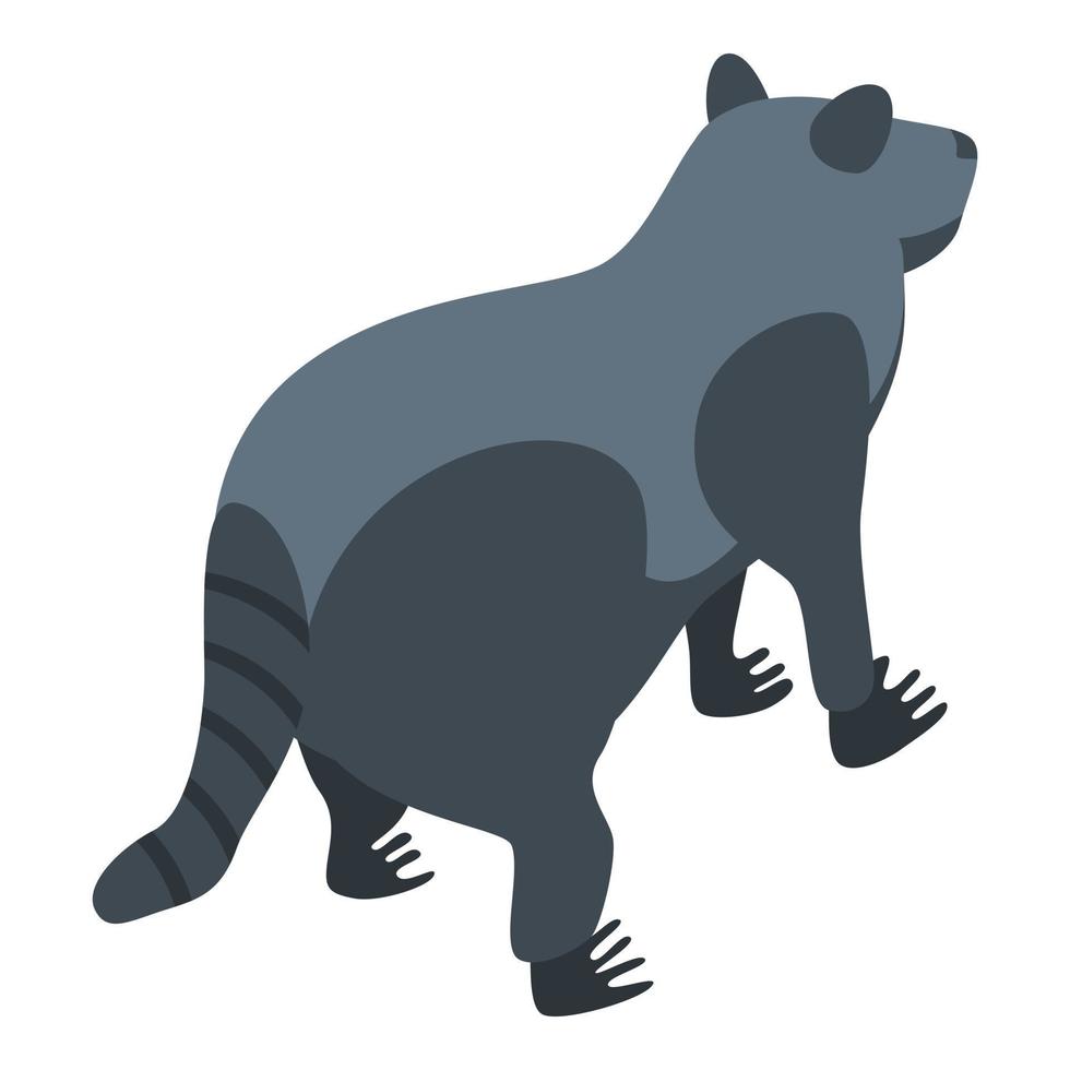 icono de animal mapache, estilo isométrico vector