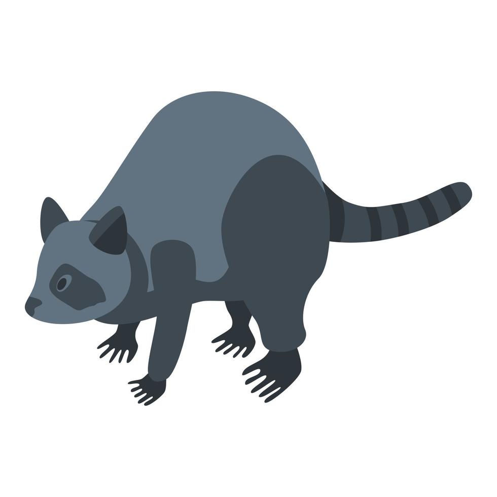 Domestic raccoon icon, isometric style vector