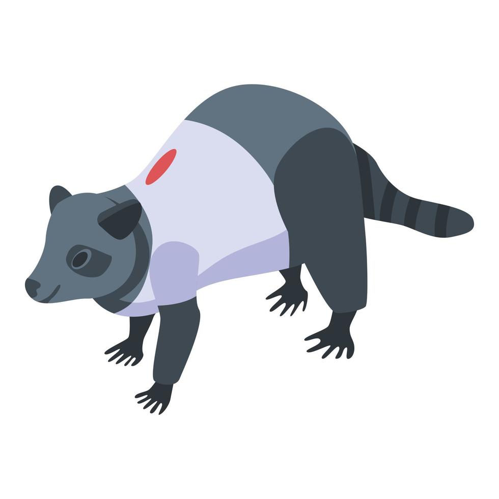 icono de mapache vestido, estilo isométrico vector