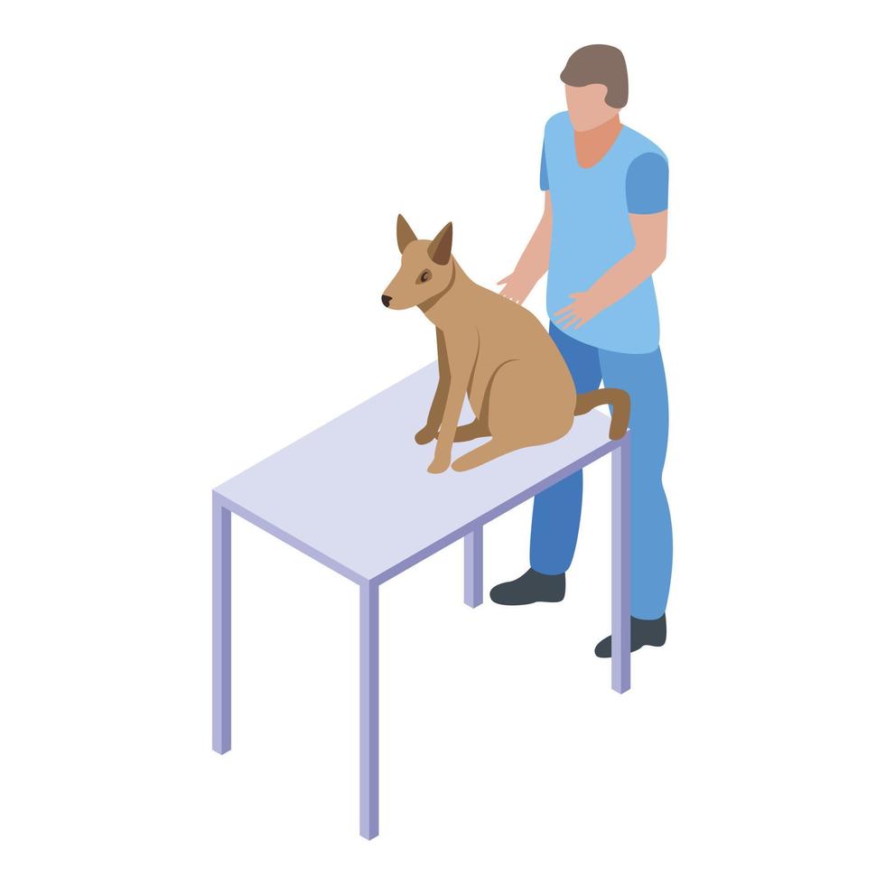 Dog at veterinary table icon, isometric style vector