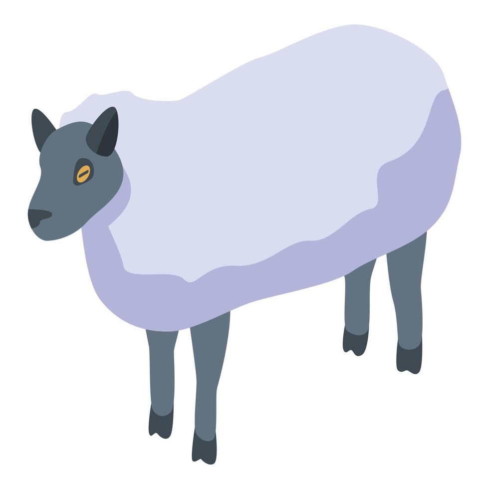 Farm sheep icon, isometric style vector