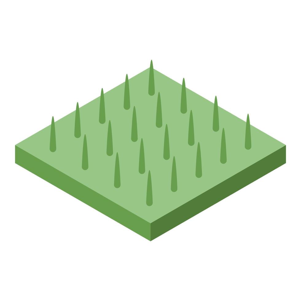 Decorative grass icon, isometric style vector