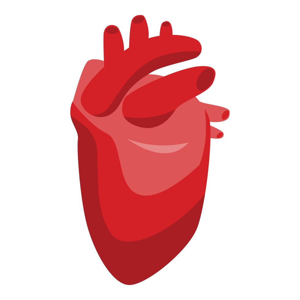 Human heart icon, isometric style vector