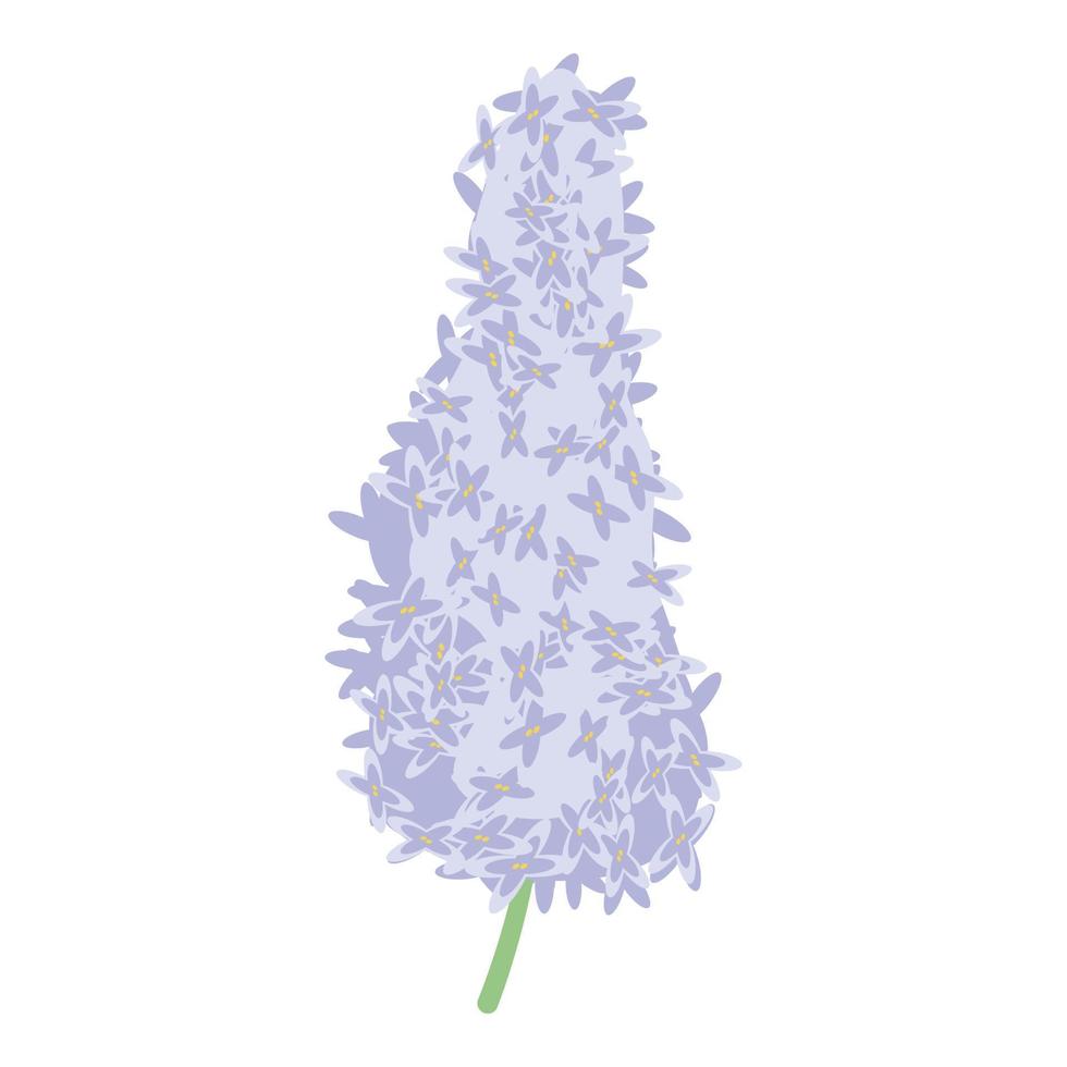 White lilac icon, isometric style vector