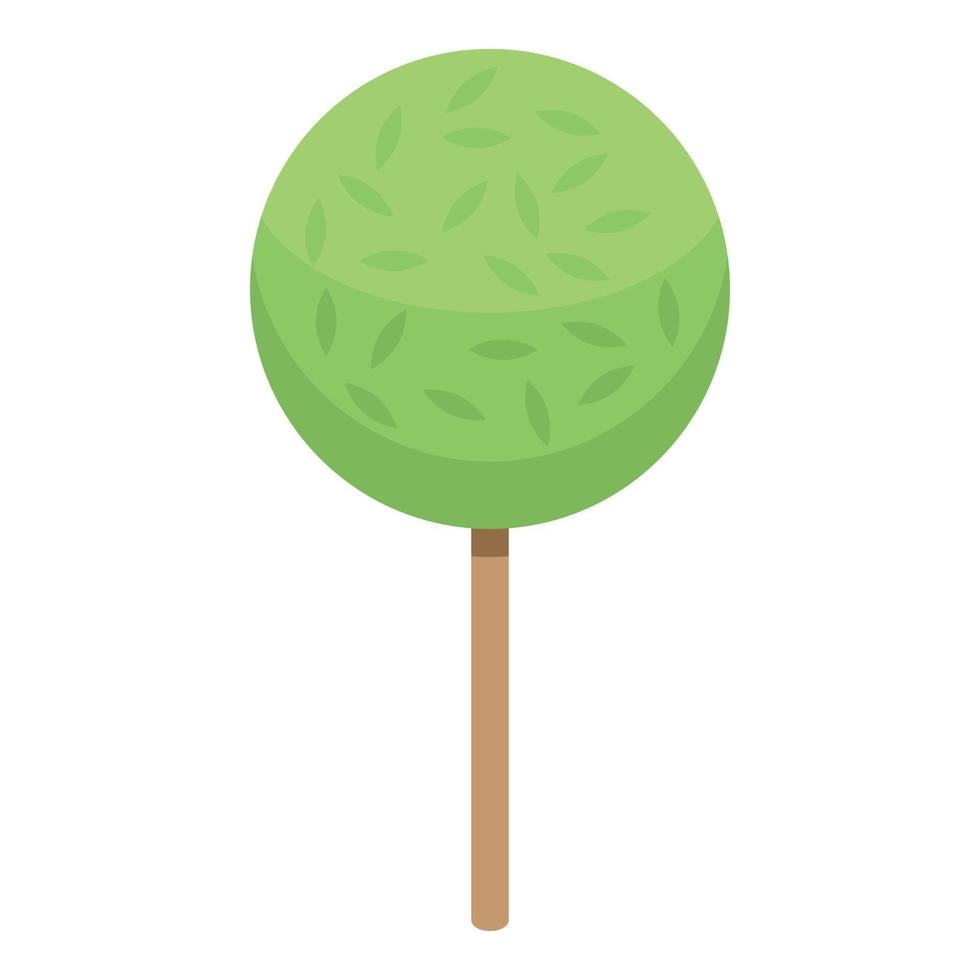 Round tree icon, isometric style vector