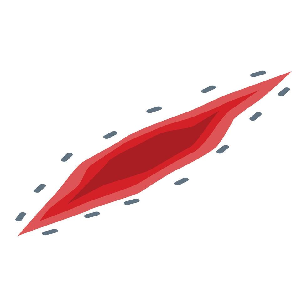Open suture icon, isometric style vector