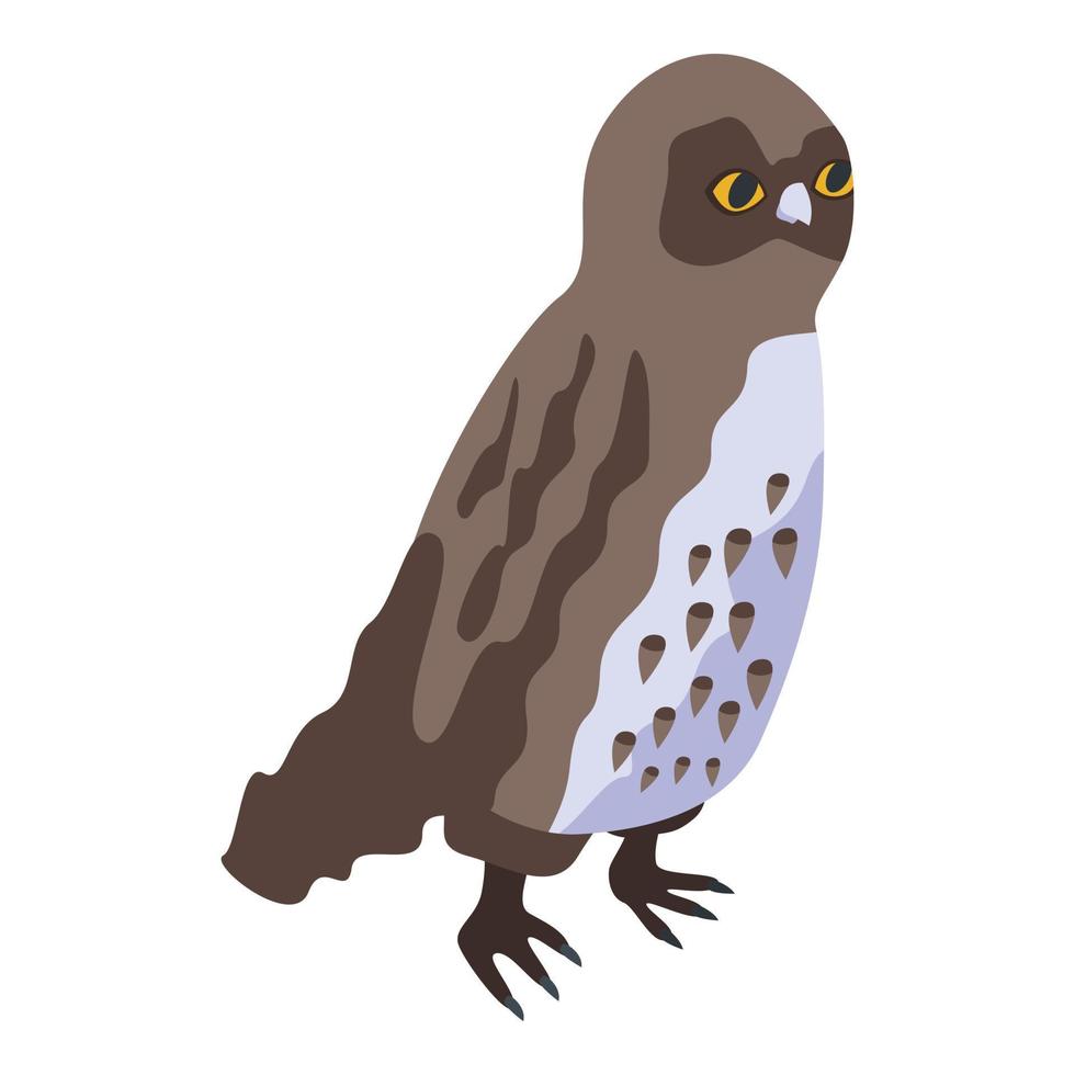 Forest owl icon, isometric style vector