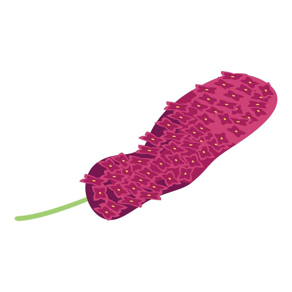 Lilac branch icon, isometric style vector