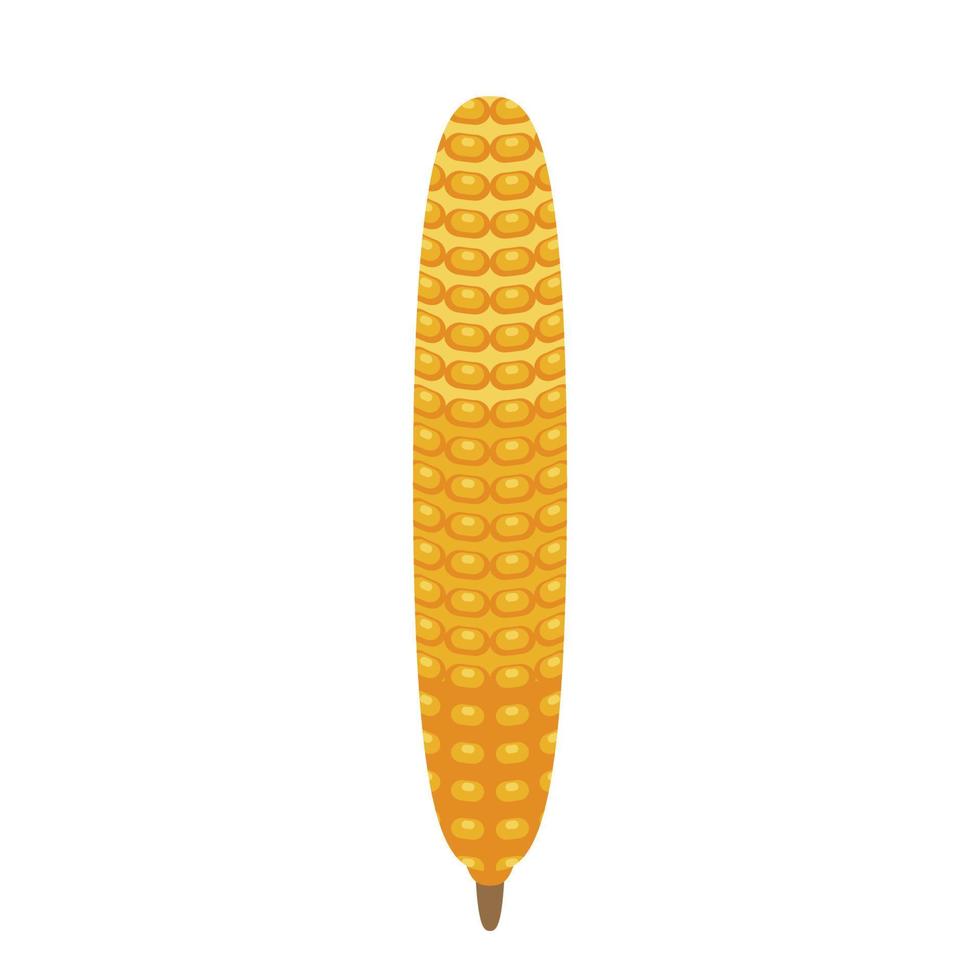 Corn icon, isometric style vector