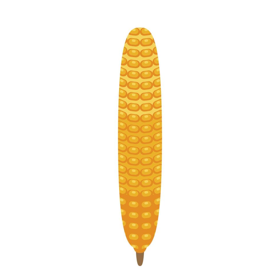 Corn icon, isometric style vector