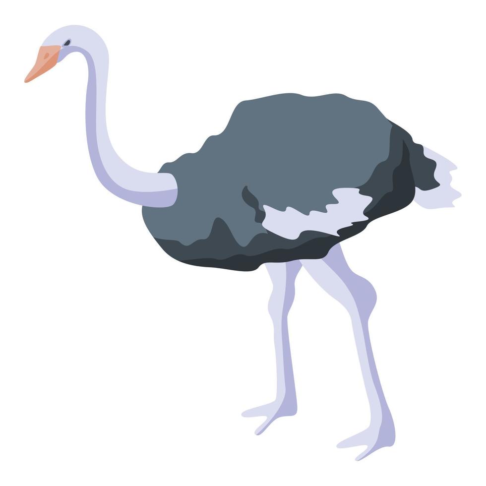 Ostrich australia icon, isometric style vector