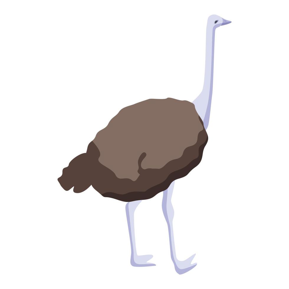 Farm ostrich icon, isometric style vector