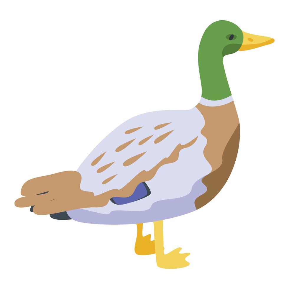 Lake wild duck icon, isometric style vector