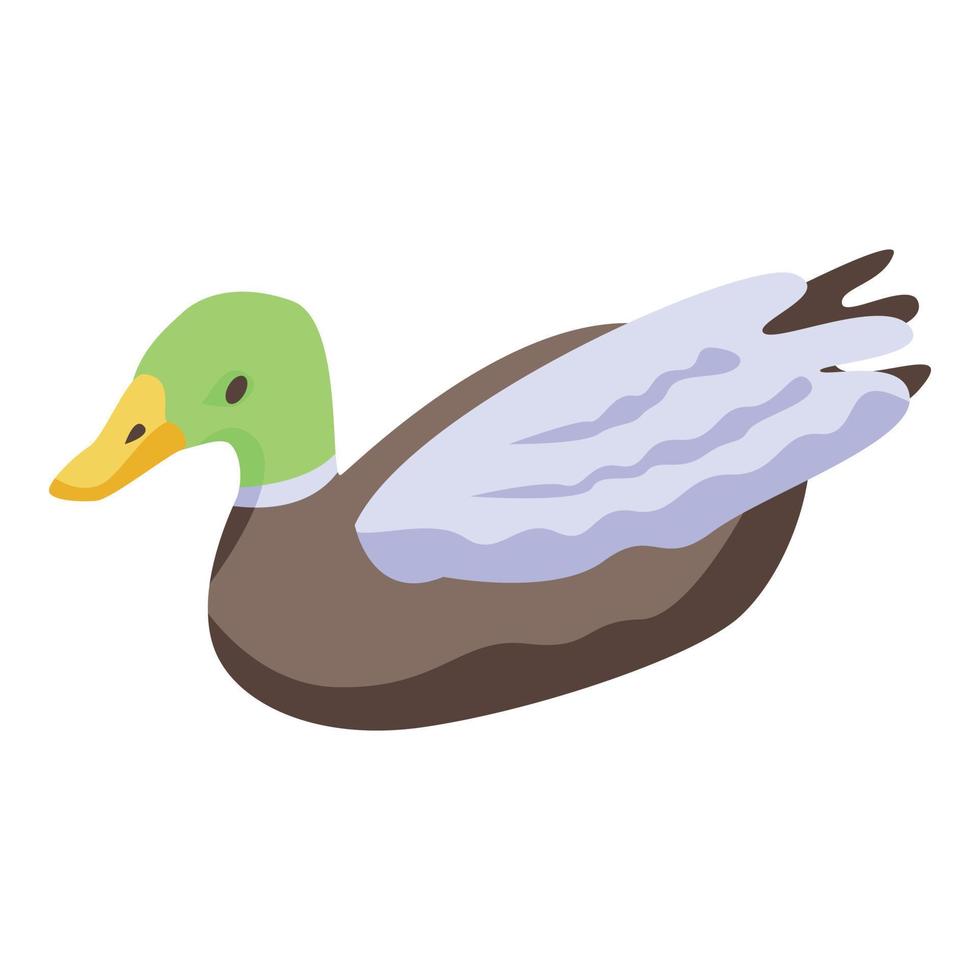 Cute wild duck icon, isometric style vector