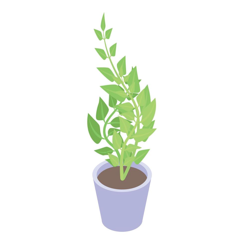 Indoor houseplant icon, isometric style vector