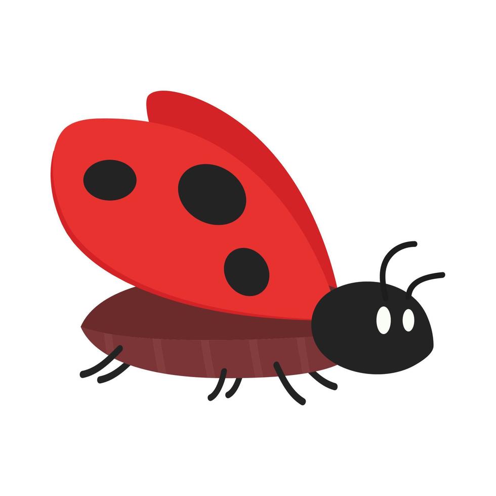 Ladybug vector. ladybug on white background. wallpaper. symbol. vector