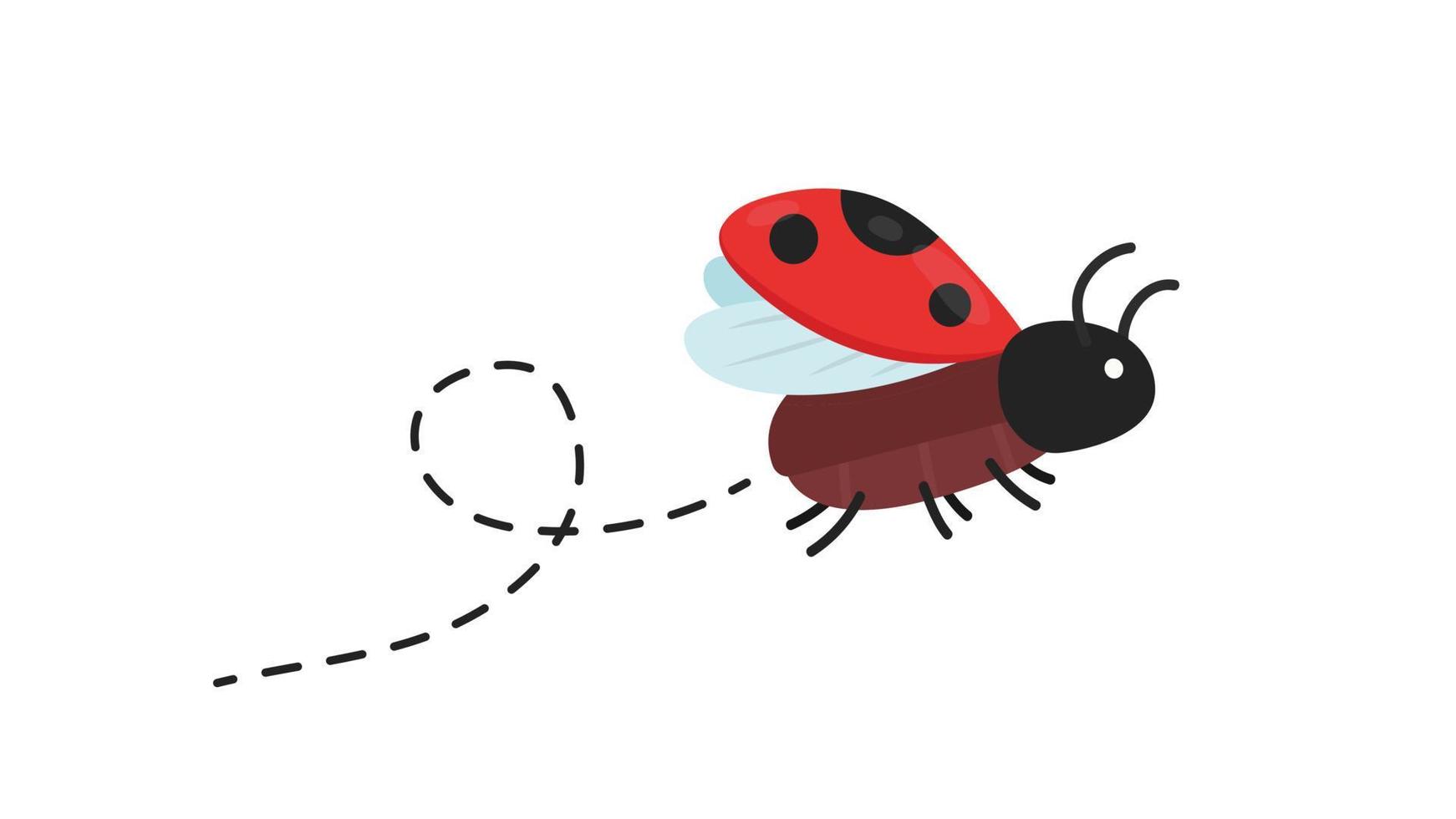 Ladybug vector. ladybug on white background. wallpaper. symbol. vector