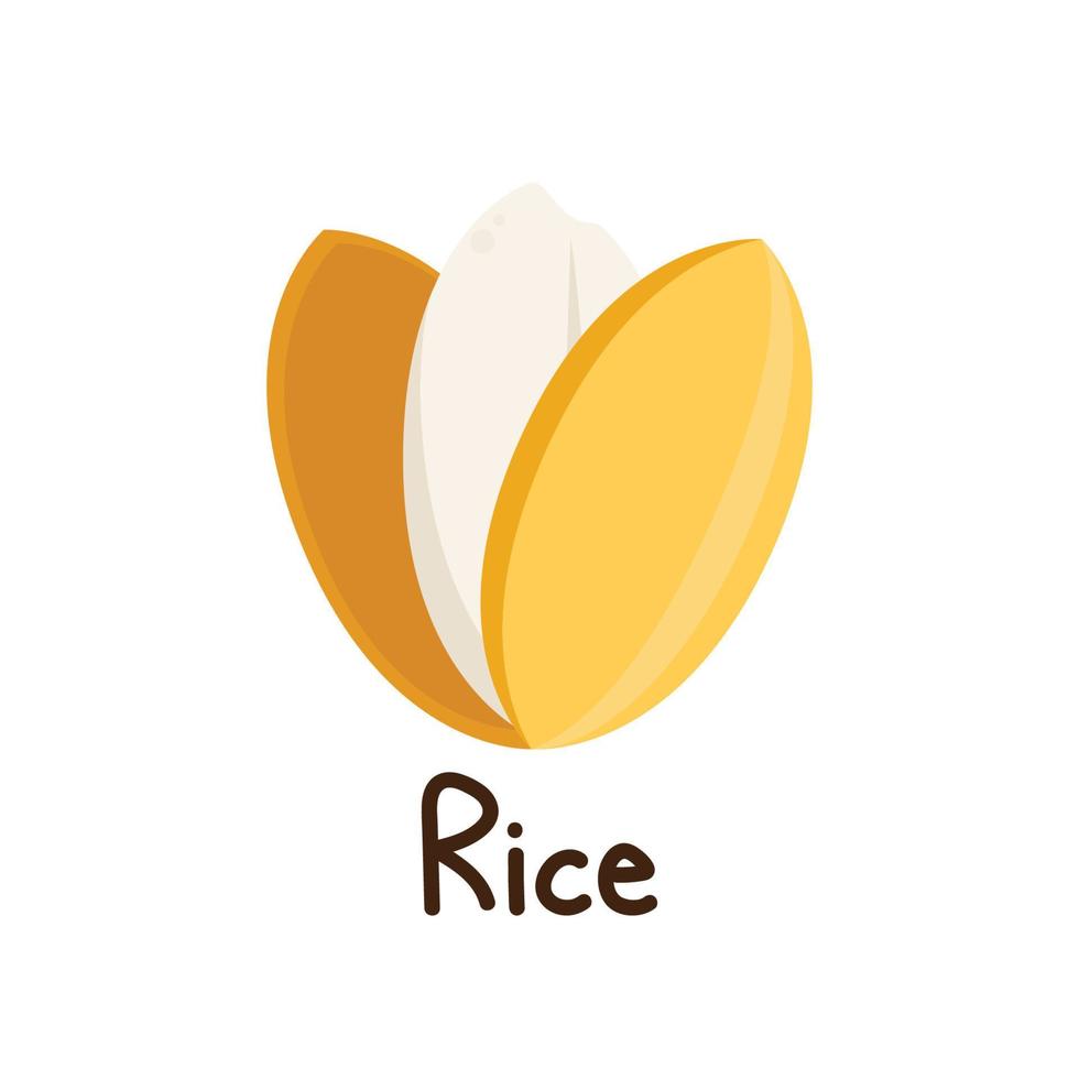 Rice vector on white background. rice seed.