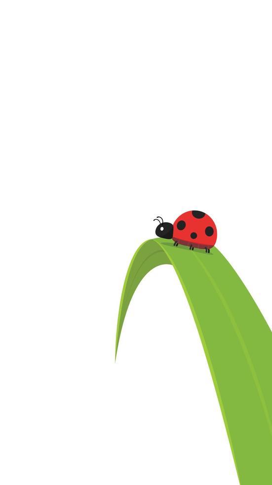 Ladybug on leaf. wallpaper. free space for text. background. symbol. ladybug on white background. vector