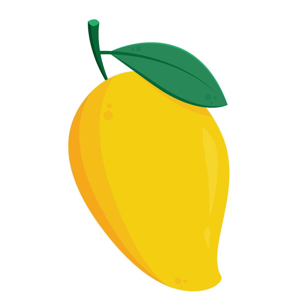 Mango vector. Mango on white background. logo design. Mango cartoon vector. vector