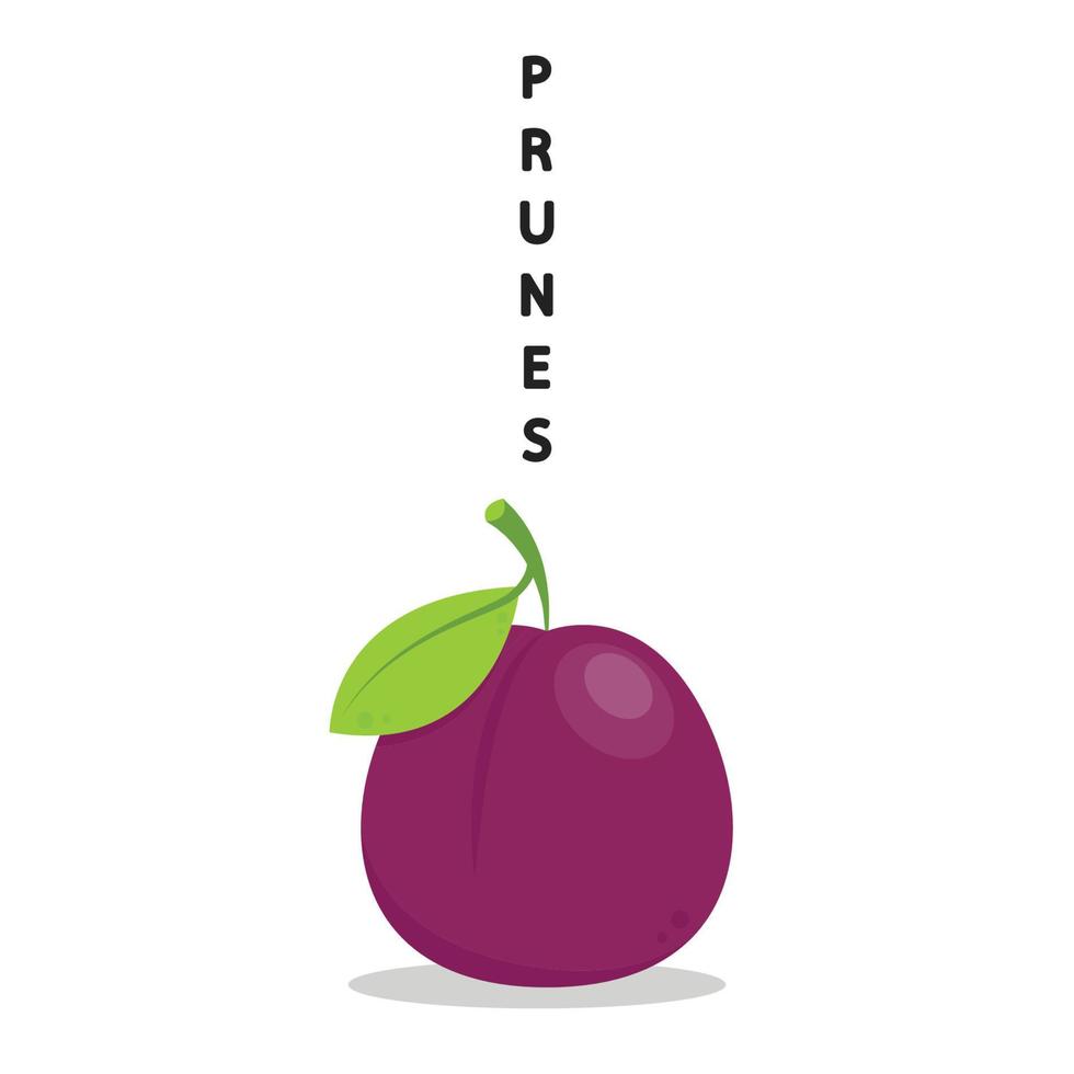 Prunes cartoon vector. symbol. logo design. Fresh plum with green leaf in cartoon style. Vector whole and parts sweet plum isolated on a white background.