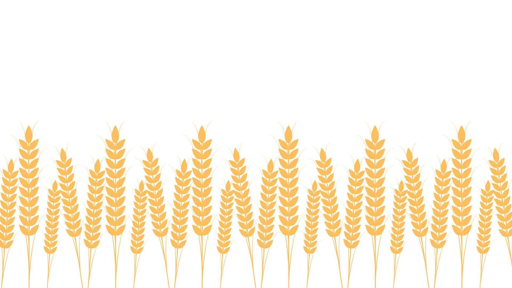 Wheat pattern wallpaper. oat symbol. free space for text. rice sign. Rice pattern wallpaper. vector