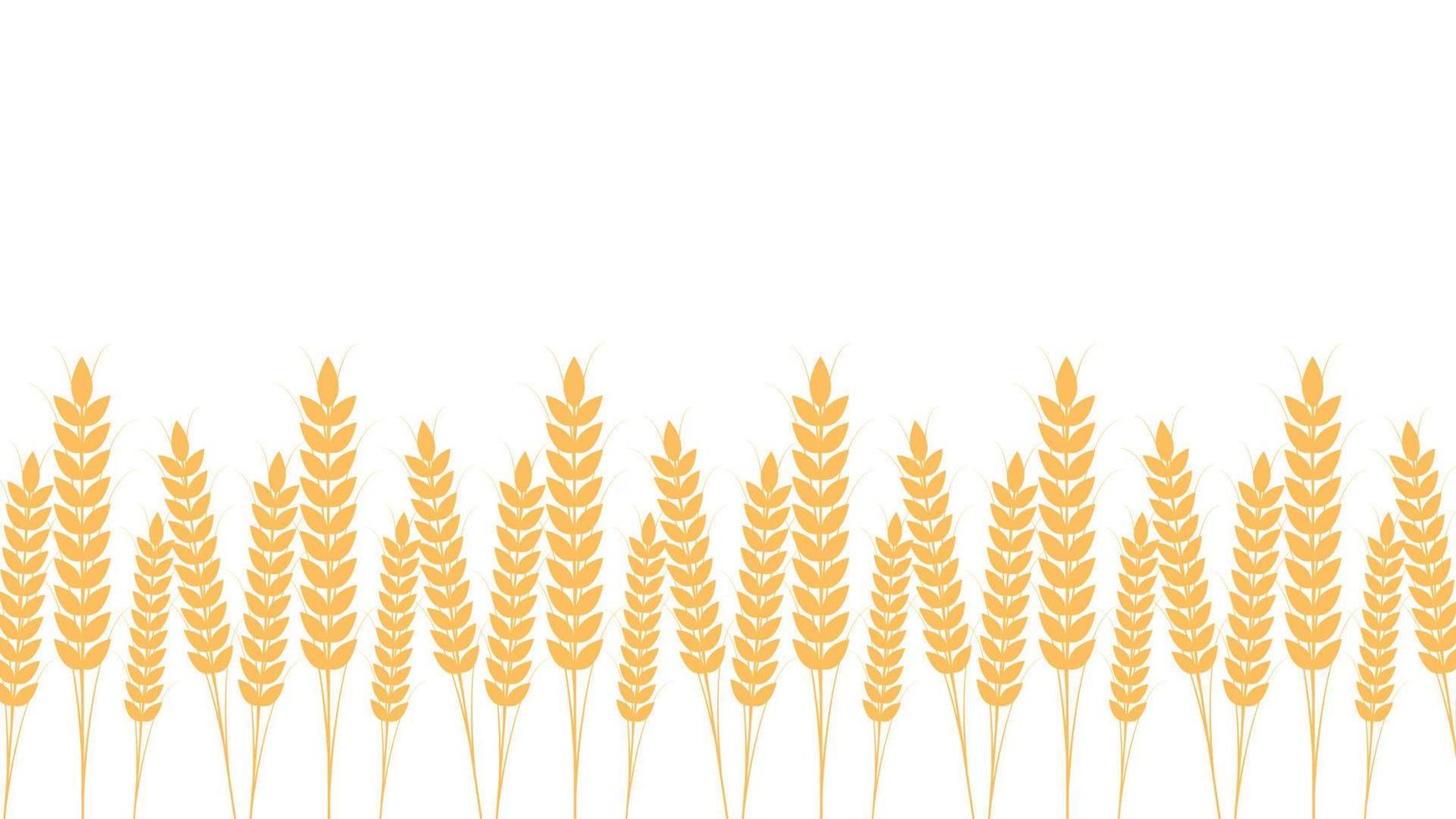 Wheat pattern wallpaper. oat symbol. free space for text. rice sign. Rice pattern wallpaper. vector