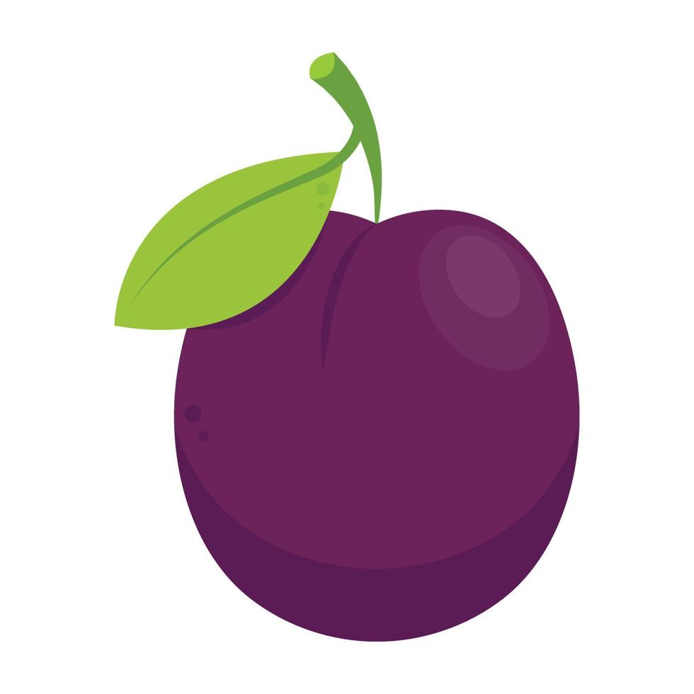 Prunes cartoon vector. symbol. logo design. Fresh plum with green leaf in cartoon style. Vector whole and parts sweet plum isolated on a white background.
