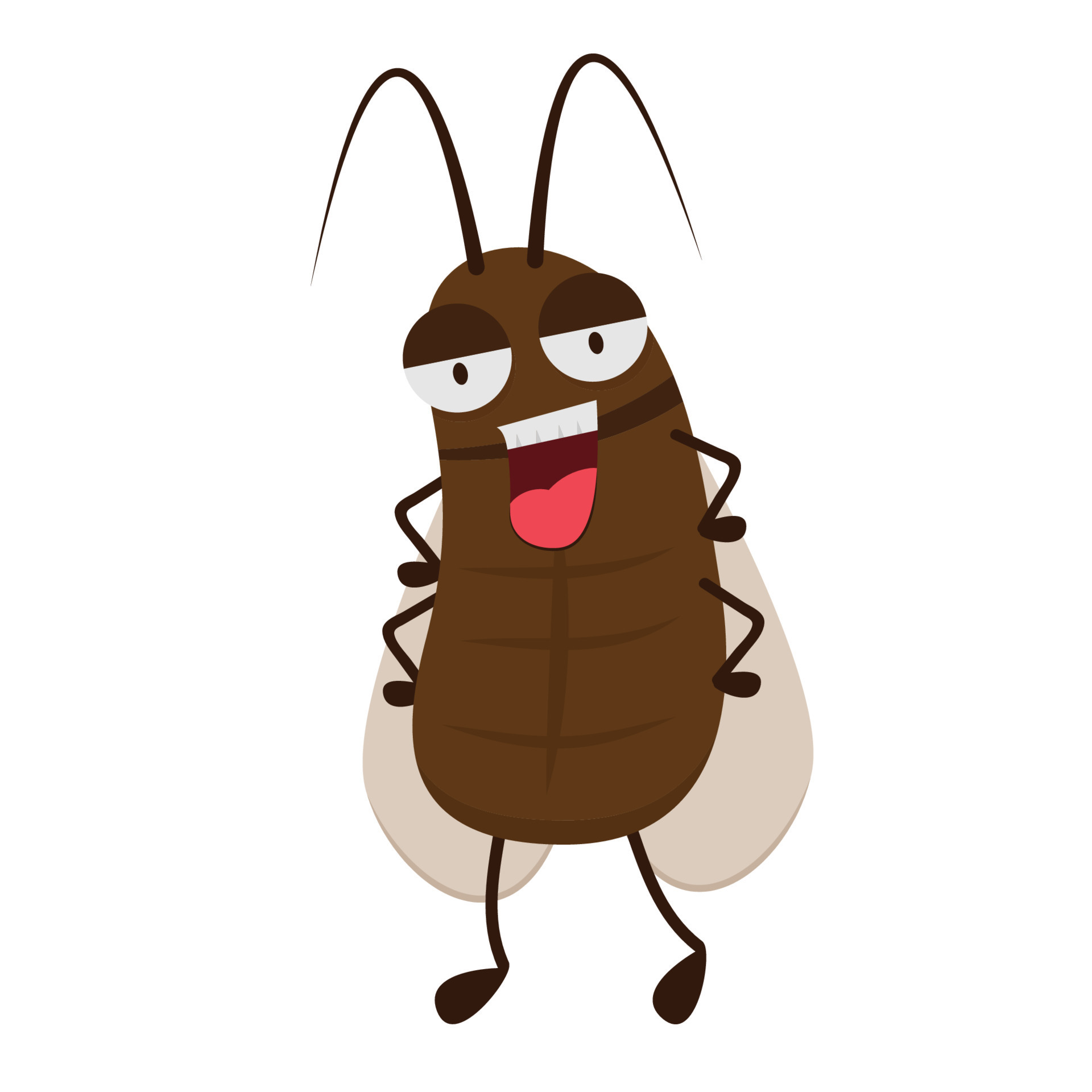 Cockroach cartoon vector. Cockroach character design. 15846074 Vector Art  at Vecteezy