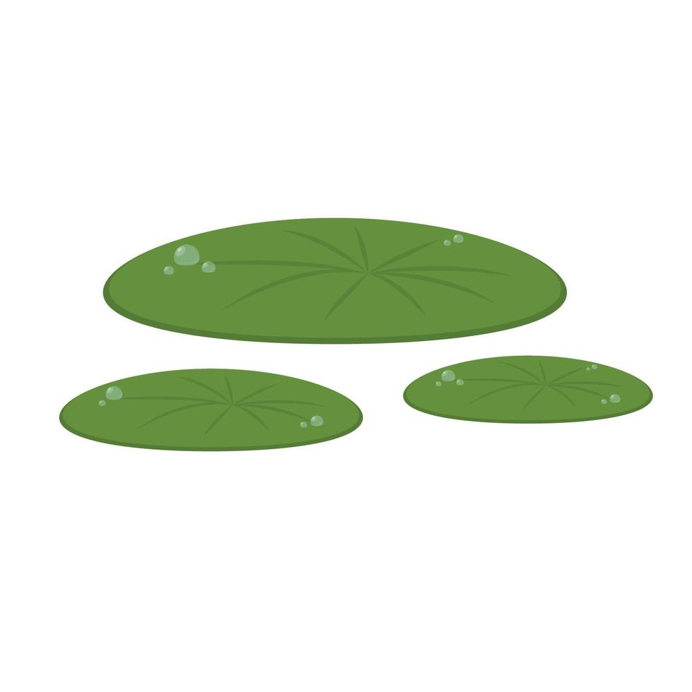 Lily pad vector. Lily pad logo design. vector