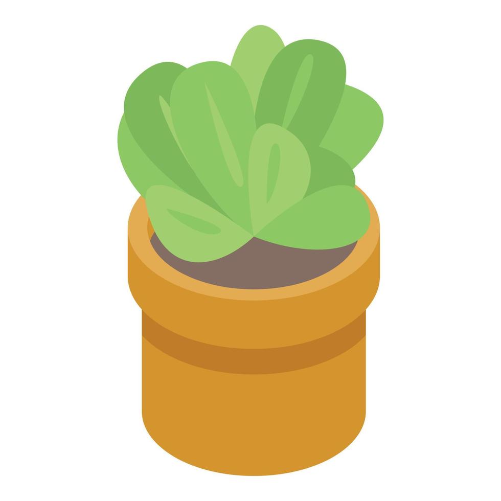 Succulent houseplant icon, isometric style vector