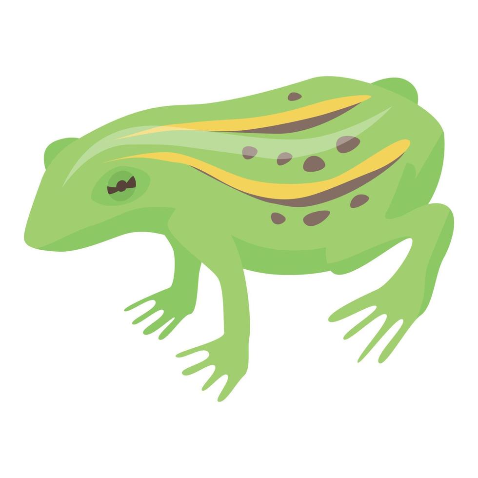 Lake frog icon, isometric style vector