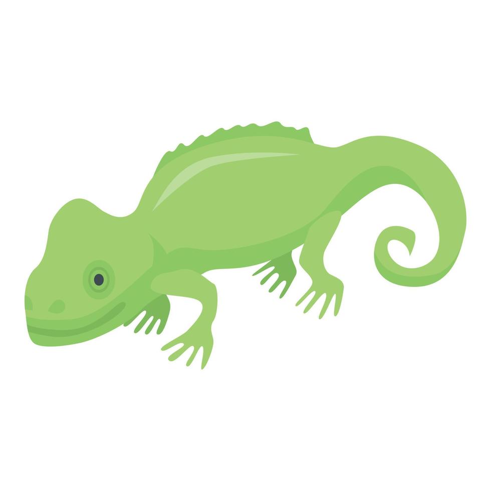 Green chameleon lizard icon, isometric style vector