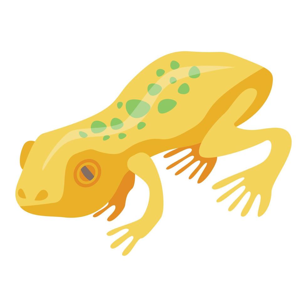 Yellow exotic frog icon, isometric style vector