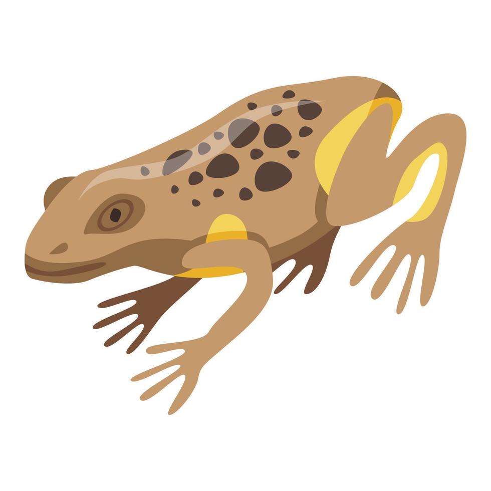 Frog icon, isometric style vector
