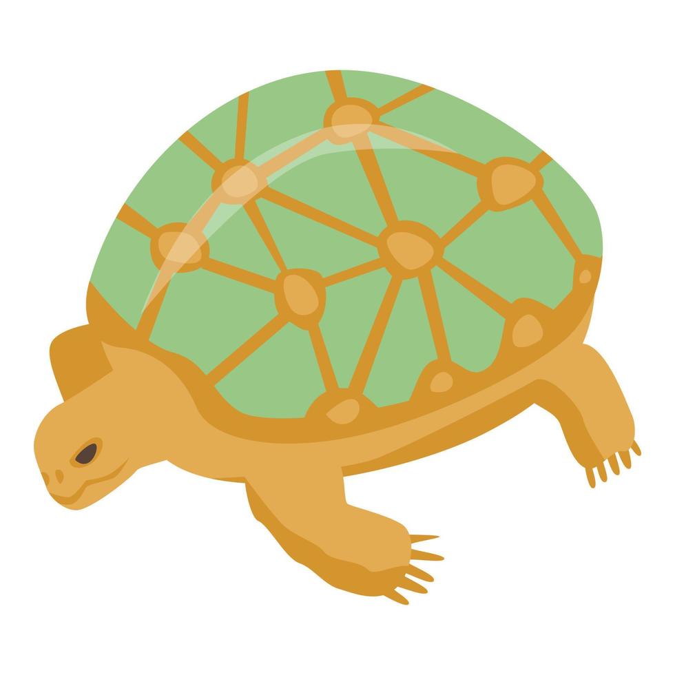 viejo icono de tortuga, estilo isométrico vector