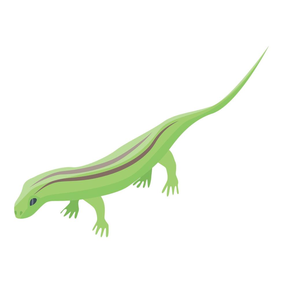 Field lizard icon, isometric style vector