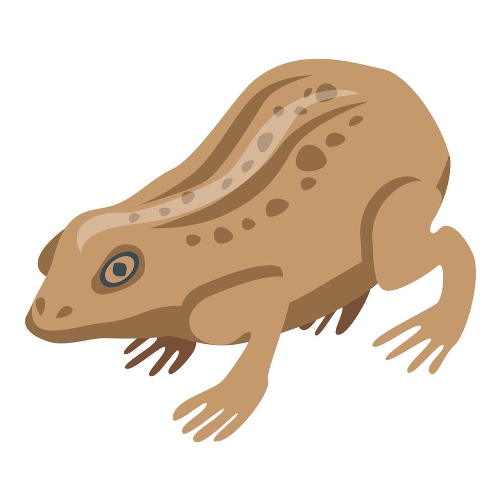 Field frog icon, isometric style vector