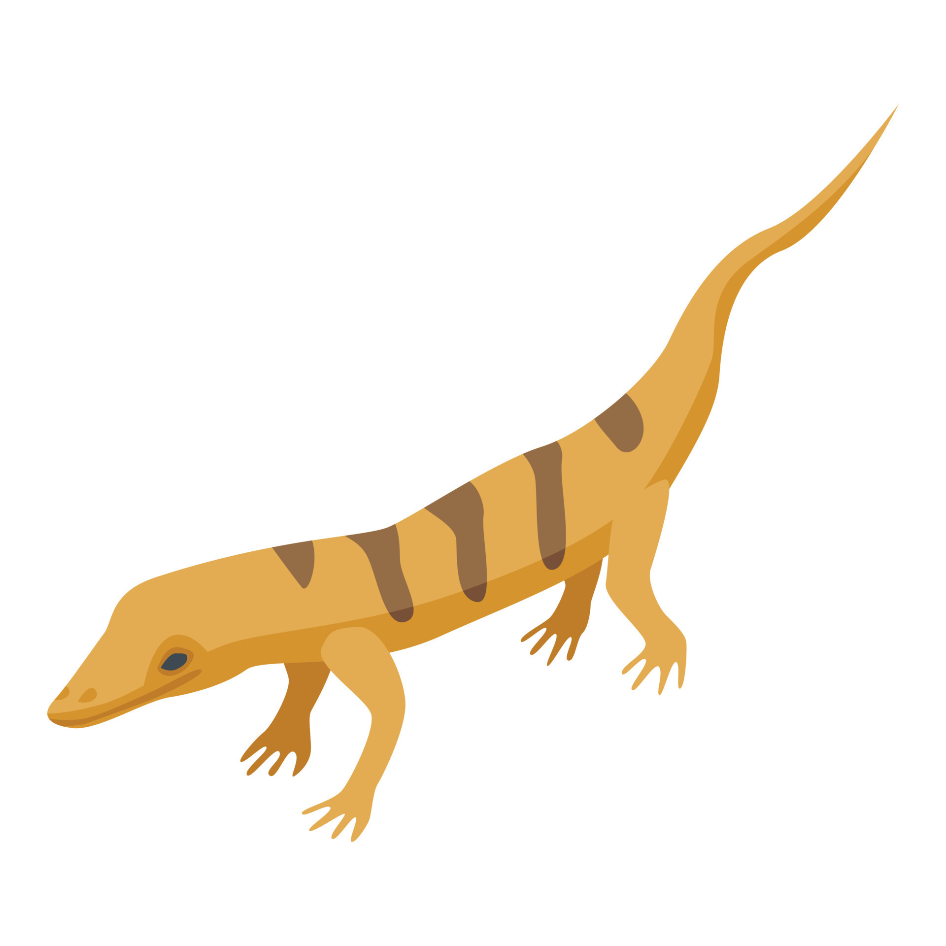The Ultimate Guide To Desert Lizard Diets - vn105wo