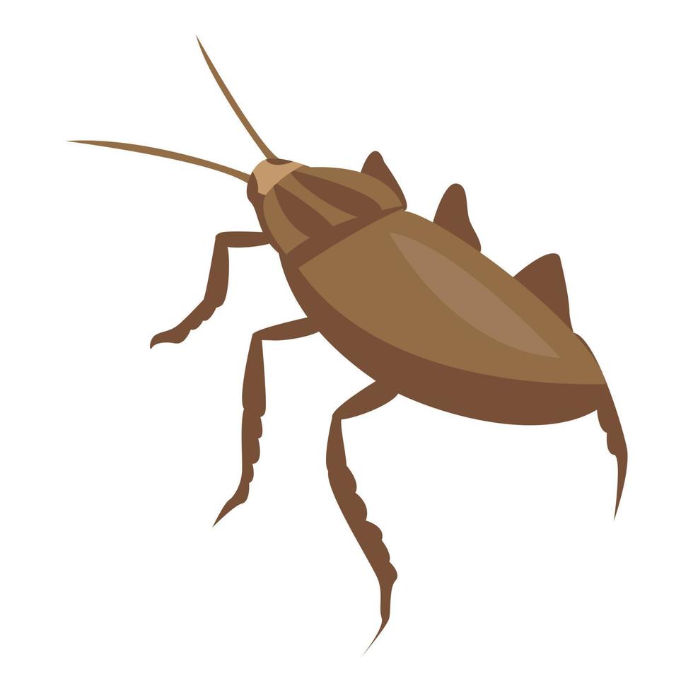 icono de cucaracha natural, estilo isométrico vector