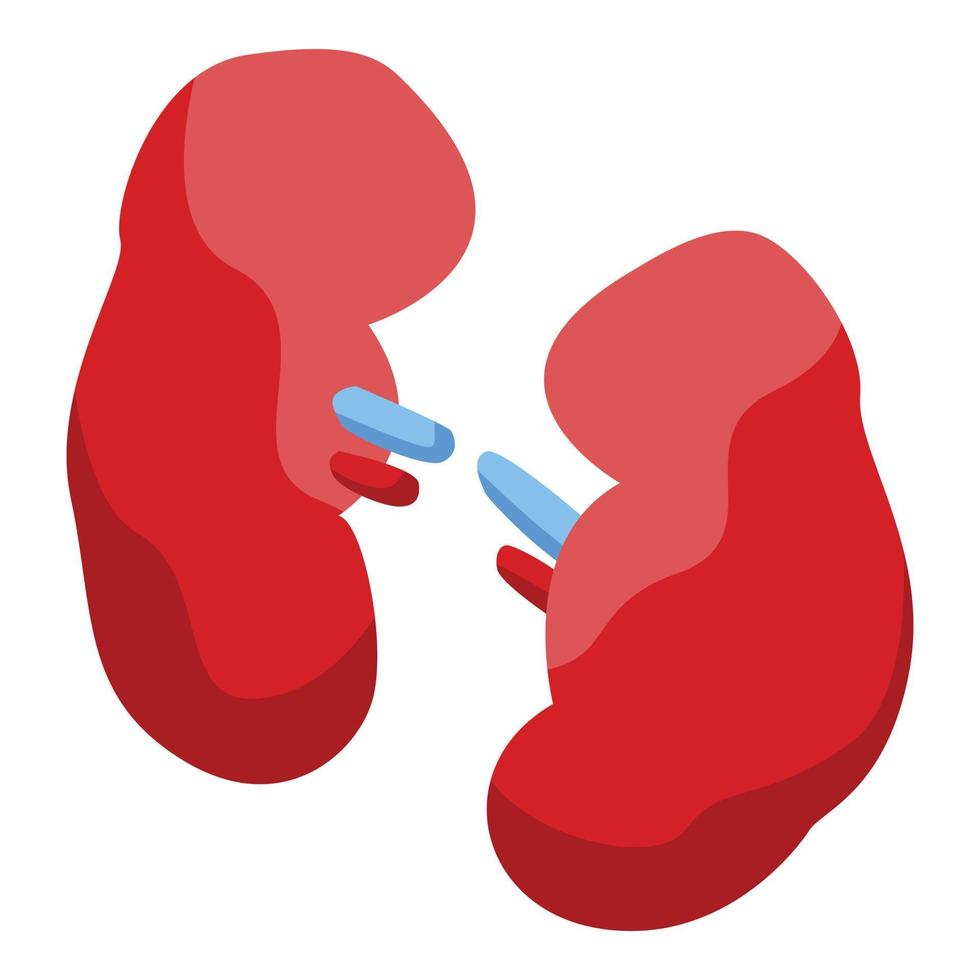 Donate organs kidneys icon, isometric style vector