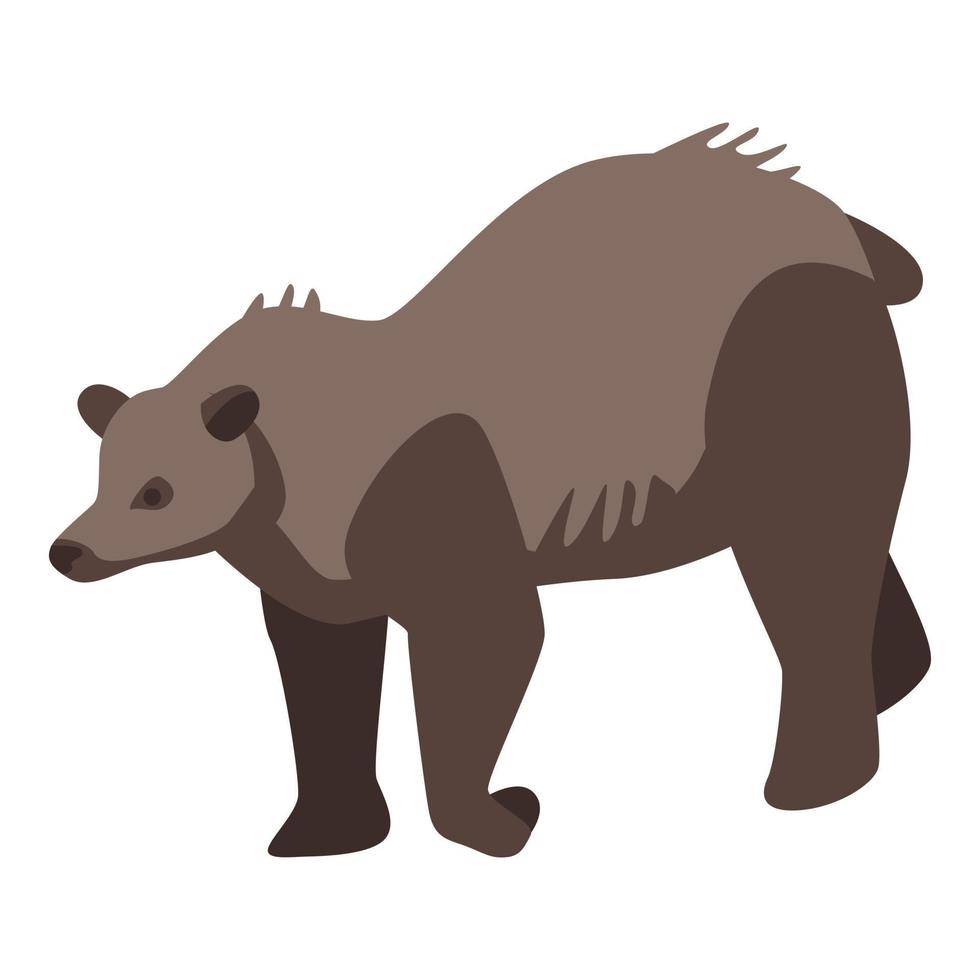 icono de oso pardo del zoológico, estilo isométrico vector