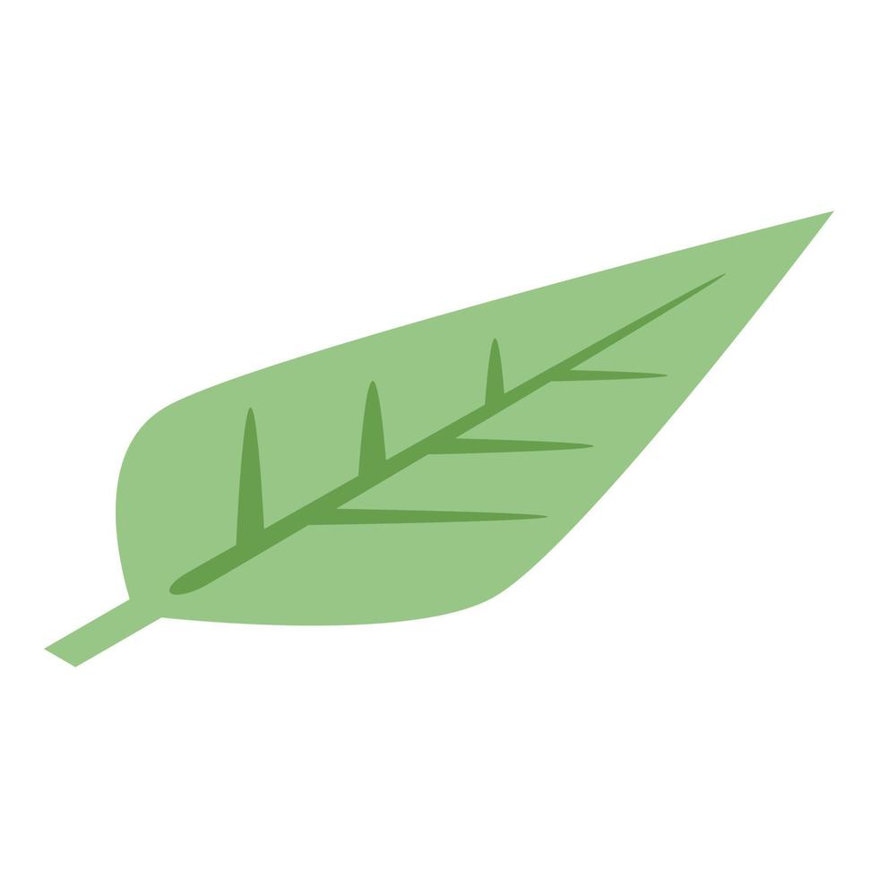 Tea leaf icon, isometric style vector