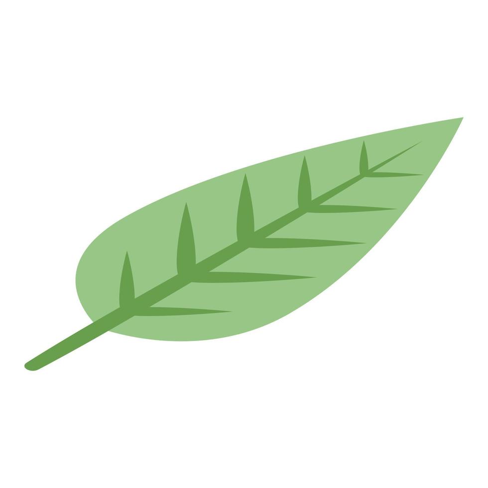 Soursop leaf icon, isometric style vector