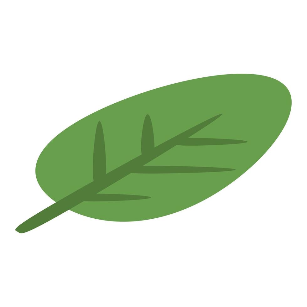 Feijoa leaf icon, isometric style vector