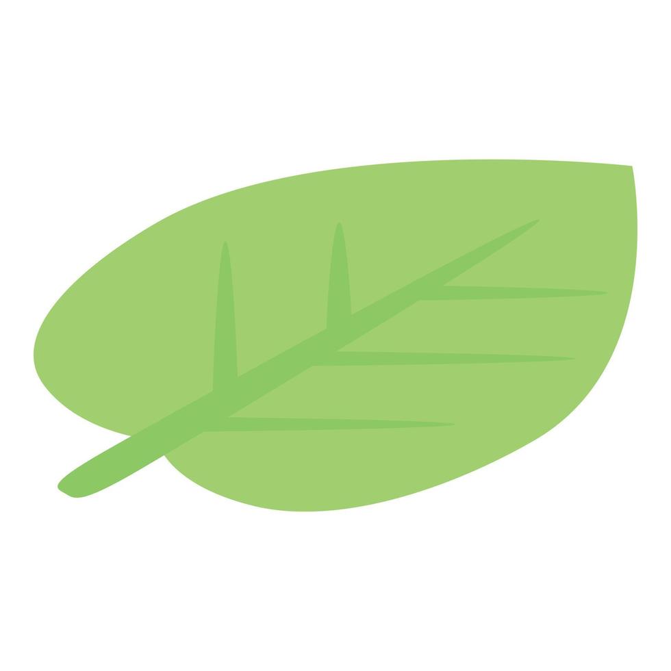 Apricot leaf icon, isometric style vector