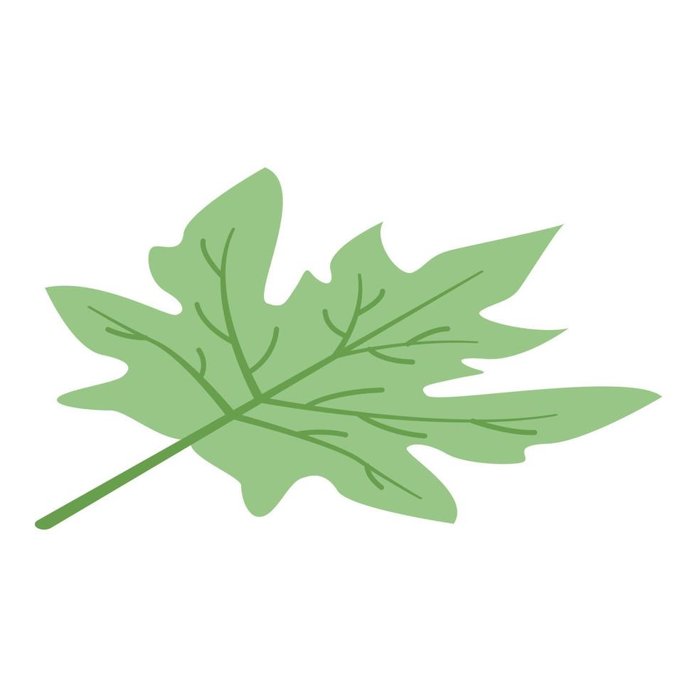 Papaya leaf icon, isometric style vector