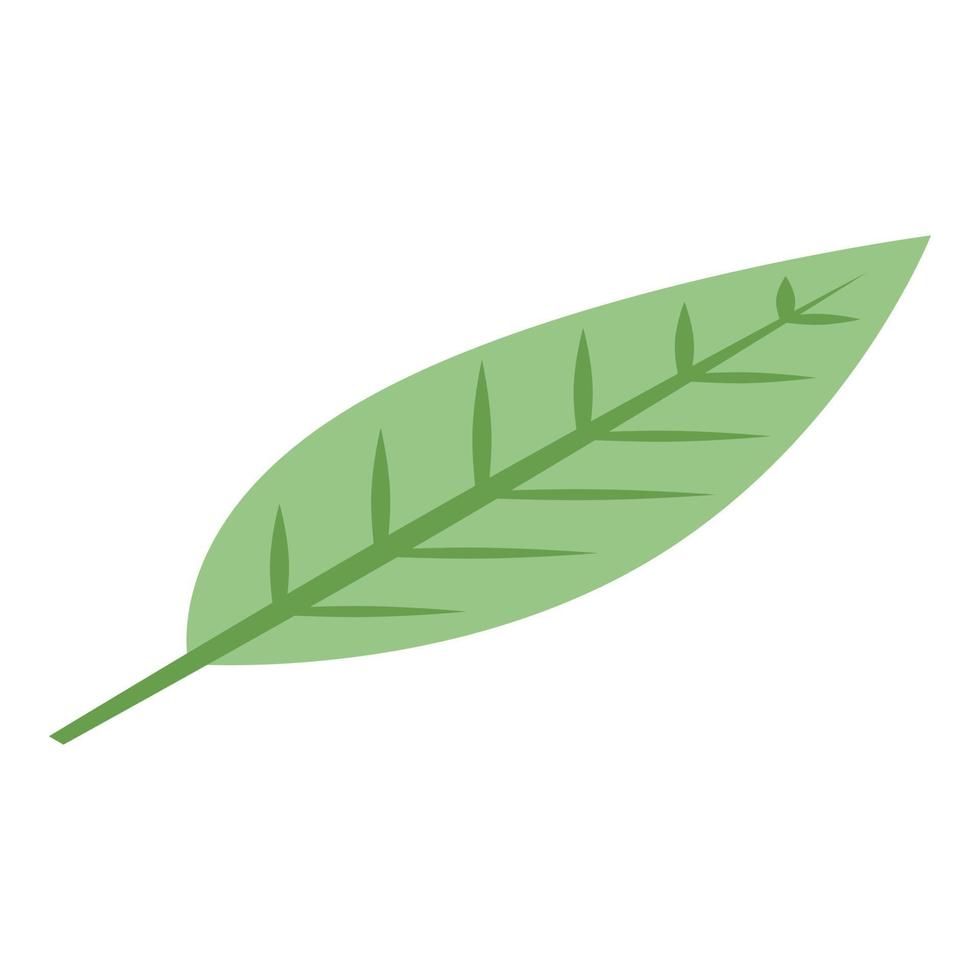 icono de hoja de mangostán, estilo isométrico vector